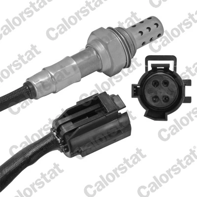 Oxygen Sensor